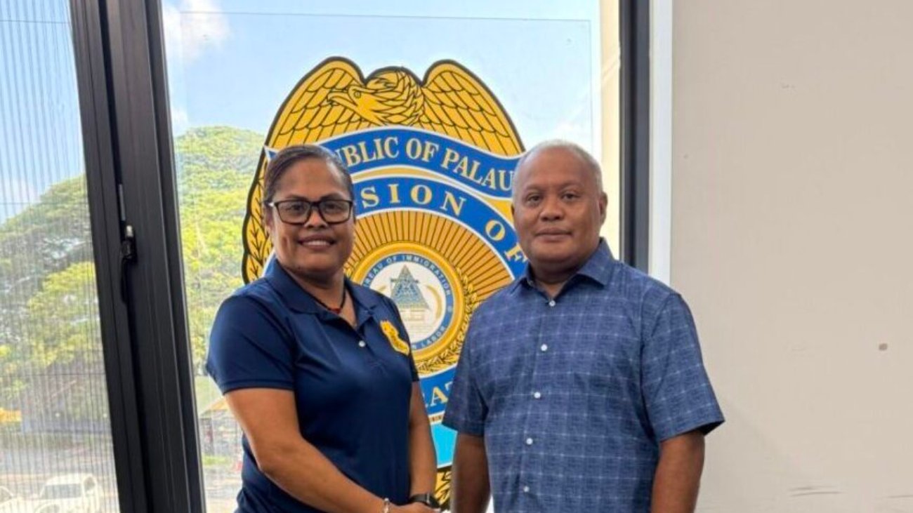 Director and Chief